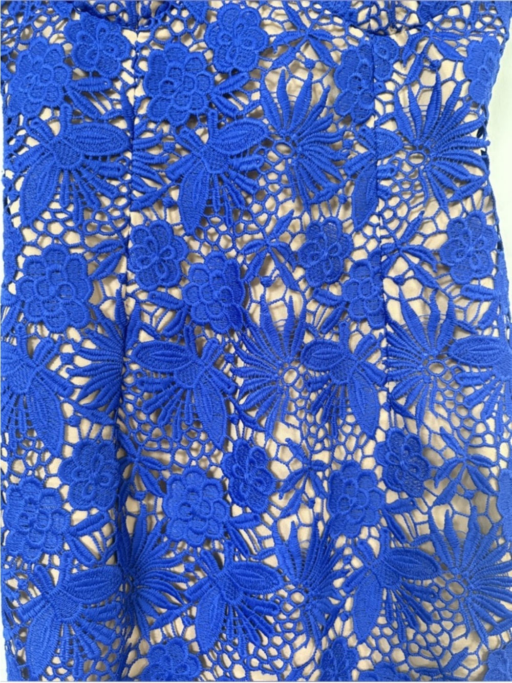 Bardot Royal Blue Lace Floral Midi Dress - Picture 8 of 13